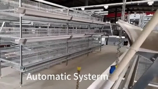 Type Layer Cage: เพิ่มผลกำไรฟาร์มสูงสุด