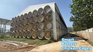 โรงไก่ชั้นแบตเตอรี่ควบคุมสิ่งแวดล้อม