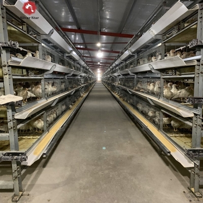 30000 Birds Hot Dip Galvanized Steel H Type Battery Cages For Broiler Chicken