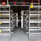Automatic Poultry Broiler Chicken Cage Baby H Type Chick Cages