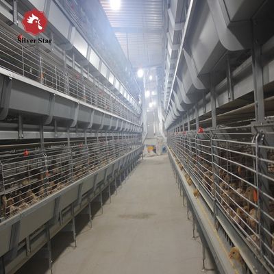 Fully Automatic H-Type Broiler Cage System for High-Density Rearing with Hot-Dip Galvanized Frame