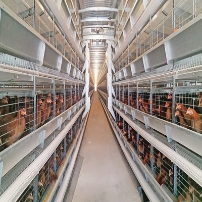 Poultry Farm Layer Hen Chicken Cages Coop Fully Automatic H Type Battery Egg 6Tiers