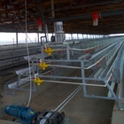 Poultry Equipment Chicken Broiler Cage A Type For Nigeria Farm 5 Tiers