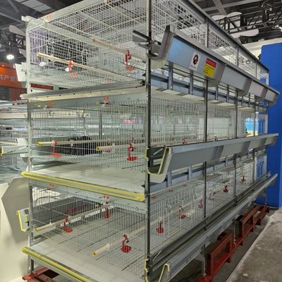Automatic H-Type Baby Chick Brooding Cage System with Hot Dip Galvanizing and 100-300 Chickens/set Capacity