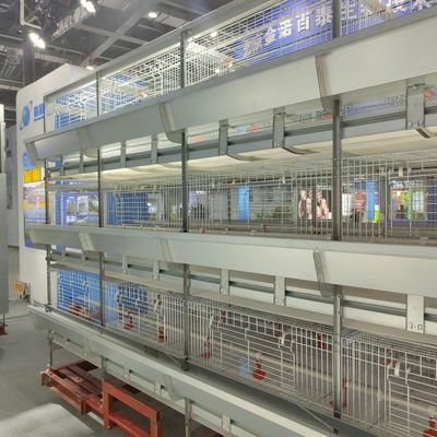 Automatic H-Type Baby Chick Brooding Cage System with Hot Dip Galvanizing and 100-300 Chickens/set Capacity
