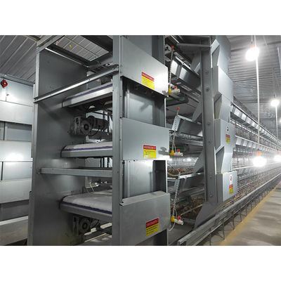 H Type Battery Poultry Chicken Cage Automatic Layer And Broiler 3 Tiers 4 Tiers