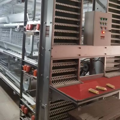 Battery Layer Cages hot-dip galvanized steel for Poultry Farm Egg Chicken Cage Equipment