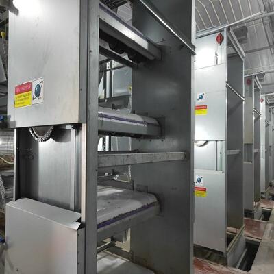 Turnkey H-Type Layer Battery Cage System for 50,000+ Birds with Hot-Dip Galvanized Steel and Full Automation