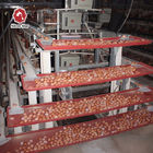 3PH 1mm Hot Galvanized Steel Poultry Egg Collection System SGS Approval