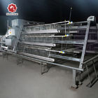 54-384 Birds/Set Layer Bird Cage , SONCAP Battery System Of Poultry Farming