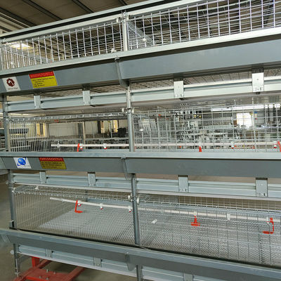 Automated H-Type Meat Broiler Cage System with Hot-Dip Galvanized Steel for High-Density Poultry Farming