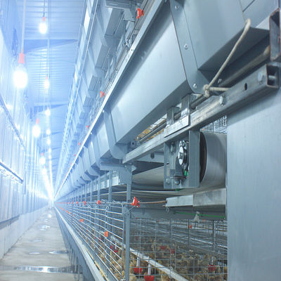 Hot Dip Galvanized Automatic Broiler Battery Cage System for 100-300 Chickens with Automatic Feeding Trough