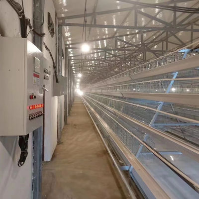 4-tier Automatic Layer Cage System With Ventilation For 120 Birds