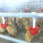 Four Layers Poultry Cage
