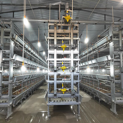 H Type Meat Chicken 9 Tiers Broiler Poultry Equipment Hot Dip Galvanized