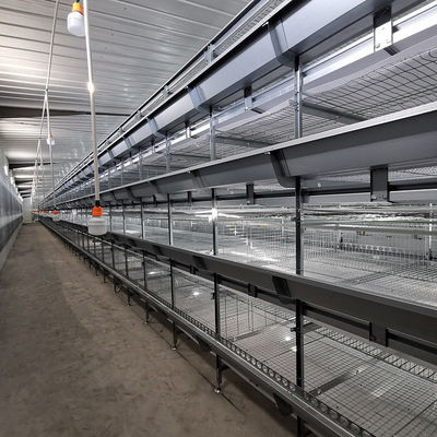 Fully Automatic Hot-Dip Galvanized H-Type Broiler Chicken Cage for High-Density Poultry Farming