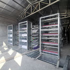 H Type Chicken Poultry Farm Cleaning Equipment 2.1m Width 30cm Depth