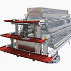 10cm Egg Processing Equipment , Siemens Motor 1.5kw Egg Laying Chicken Cages