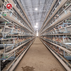 Layers Poultry Farming Battery Chicken Cage H Type 4Tiers 6 Tiers