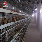 4 Tier Battery Baby Chicken Cages Layer A Type Pullet Hot Galvanized