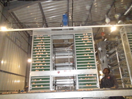 6 Tiers 108 Chickens Broiler Cage System For Little Chick