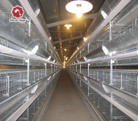 Long Time H Type Layer Cage For Management Of Laying And Breeding Hens