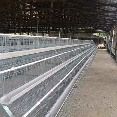 Hot Galvanized A Type Poultry Cage New Design Big Size