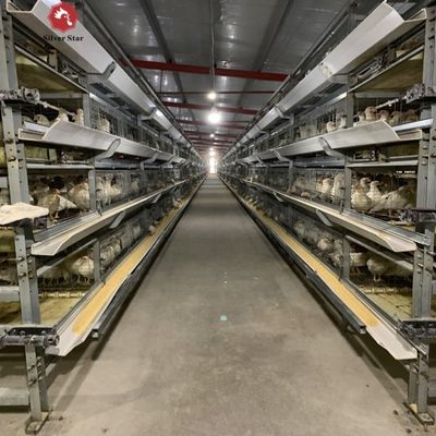 ระบบกรงไก่เนื้ออัตโนมัติแบบ H-Type สำหรับฟาร์มไก่เนื้อเชิงพาณิชย์ โครงเหล็กกัลวาไนซ์แบบจุ่มร้อน และการกำหนดค่า 3-4 ชั้น