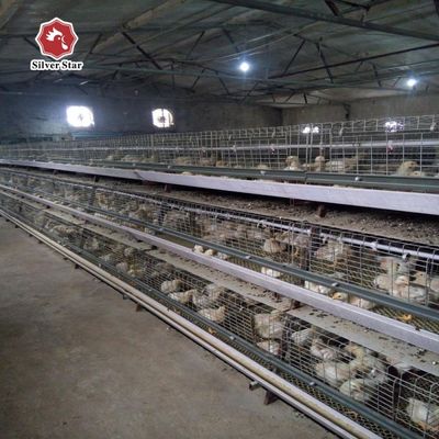 ราคาดีที่สุด ระบบกรงไก่ไก่ชนิด A อัตโนมัติ กรงไก่ไก่ชนิด A สําหรับไก่ 1000 50000