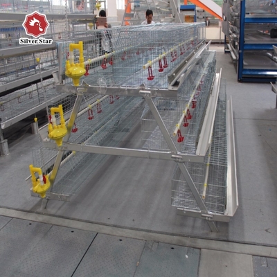 ISO9001 Baby Chicken Cage For 1 Day Old Chick Automatic Feeding System