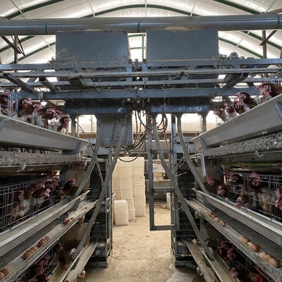 สัตว์ปีก H ประเภท 3 ชั้น 4 ชั้น ไก่ไข่ กรงไก่ไข่