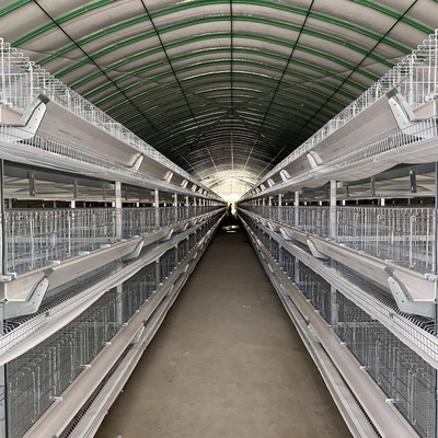 Chicken Closed House Battery Cage System Automatic Poultry Equipment in Tanzania