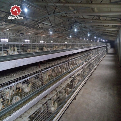4 Tier Battery Baby Chicken Cages Layer A Type Pullet Hot Galvanized