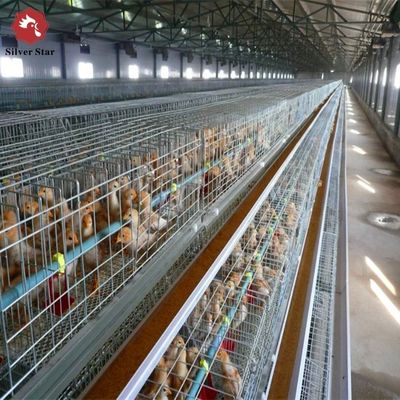 Automated H-Type Broiler Cage System Hot-Dip Galvanized Full Automatic High-Density Poultry Farming Equipment