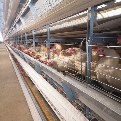 Q235A Battery Layer Chicken Cages Poultry Farm 6tiers