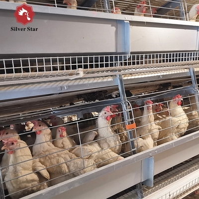 Poultry Farm Hens Layer Battery Chicken Cage H Type With Automatic Egg Collection