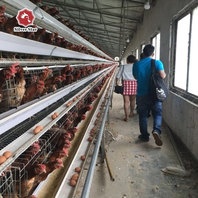 Sturdy Q235A 4 Tier A Type Egg Layer Chicken Cage For Poultry Farm