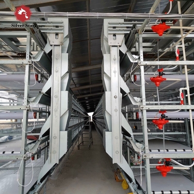 43*41*41 Cm Per Cell Layer Chicken Steel Cage 4 Birds Per Cell