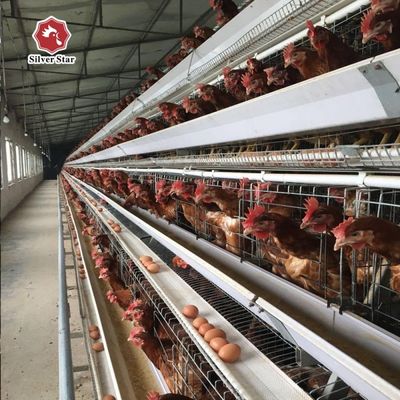 กรงไก่ชนิด A ชั้น 3 ชั้น / ชั้น 4 ชั้น พร้อมระบบการเลี้ยงและเก็บไข่อัตโนมัติในเหล็กเหล็กหมักร้อน