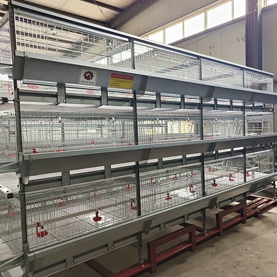 H type Complete Automatic Broiler Chicken Cage 4 Tiers