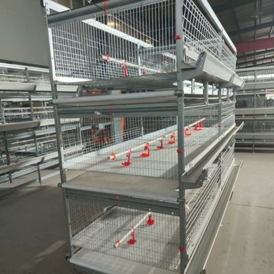 H Type Battery Poultry Chicken Cage Automatic Layer And Broiler 3 Tiers 4 Tiers