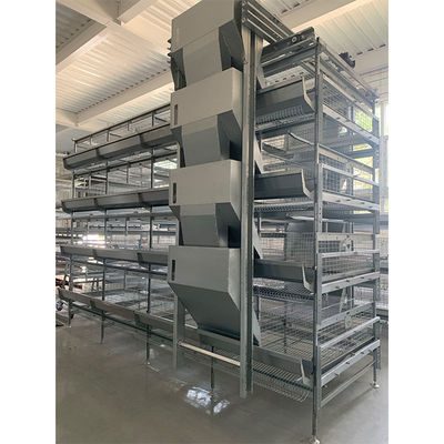 H Type Battery Poultry Chicken Cage Automatic Layer And Broiler 3 Tiers 4 Tiers