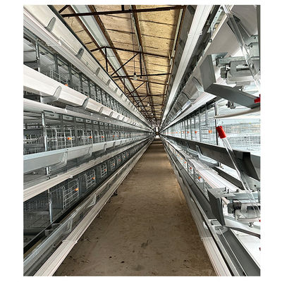 H Type Battery Poultry Chicken Cage Automatic Layer And Broiler 3 Tiers 4 Tiers