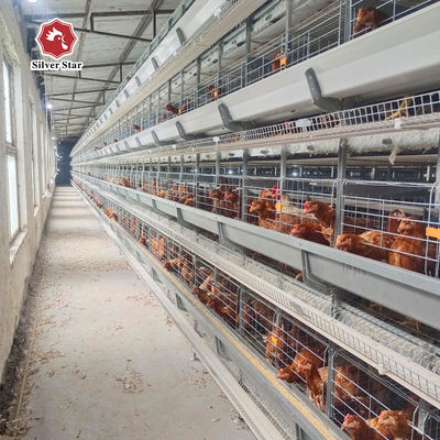 Automatic Battery Layer Cage System for Poultry Farm Egg Chicken Cage Equipment