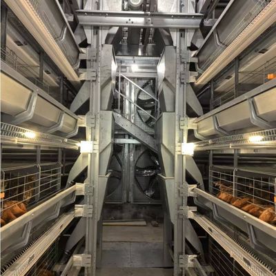 Battery Chicken Cages Fully Automatic Environmental Controlled System Suitable for Poultry Farming