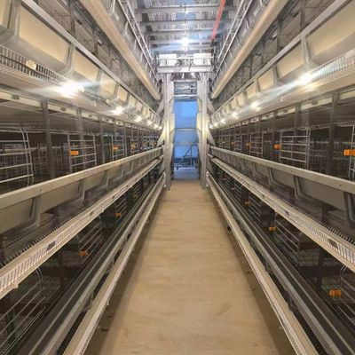 Layer Chicken Cage The Optimal Solution for Modern and Profitable Poultry Farming