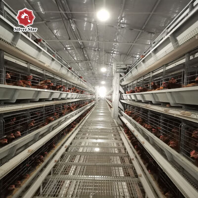 กรงไก่แบบ H Type พร้อมอายุการใช้งาน 20 ปี สำหรับไก่ไข่ 54-216 ตัว ใน 3-8 ชั้น