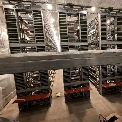 กรงไก่แบตเตอรี่แบบหนา ออกแบบมาเพื่อเพิ่มประสิทธิภาพการผลิตไข่และส่งเสริมสุขภาพสัตว์ปีกในฟาร์มเชิงพาณิชย์