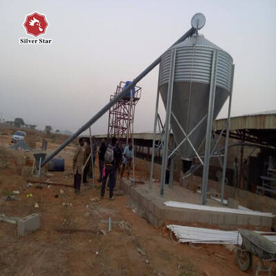 Automatic Egg Collection Hot-Dip Galvanized Battery Chicken Cage with Computerized Control System for Poultry Farming