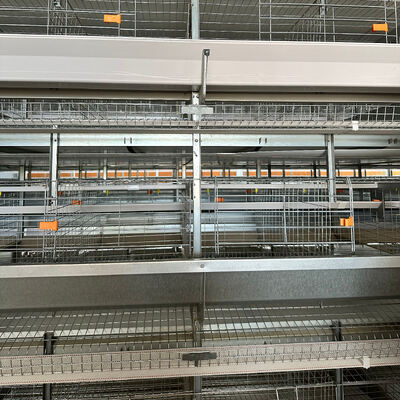 Hot-Dip Galvanized A-Type Layer Battery Cage System with Automatic Egg Collecting and 20 Years Service Life